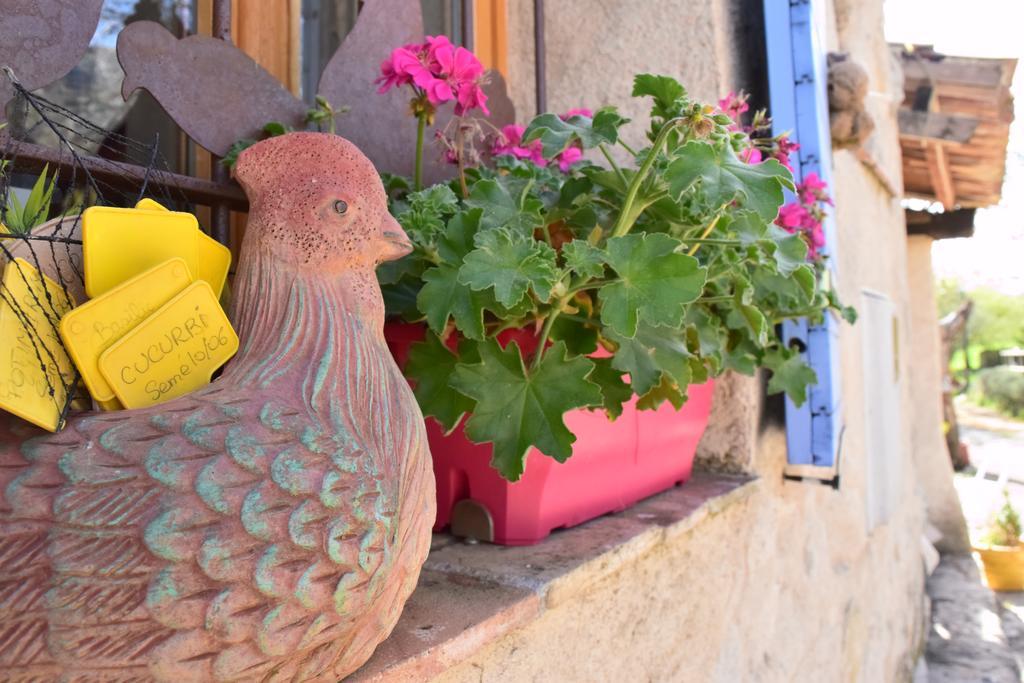 Ferme Saint Pierre Hotel Bargeme Bagian luar foto